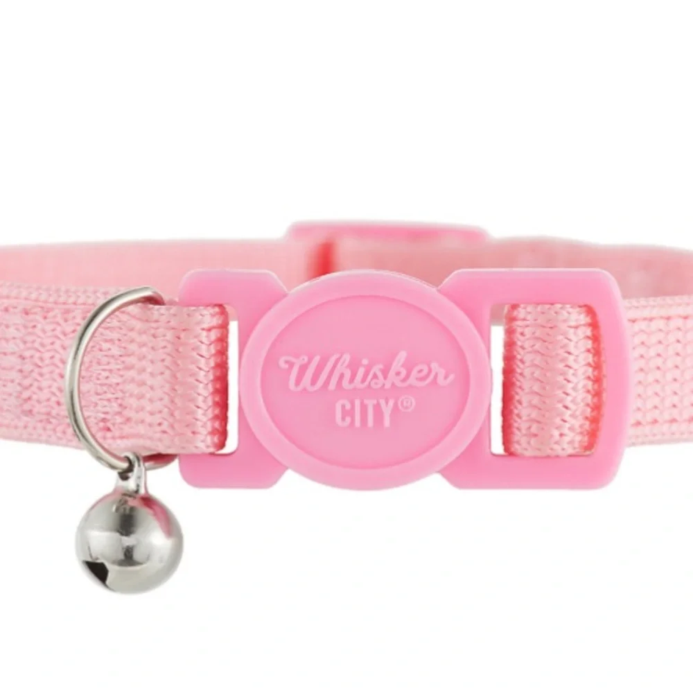 Whisker City® Kitten Collars
